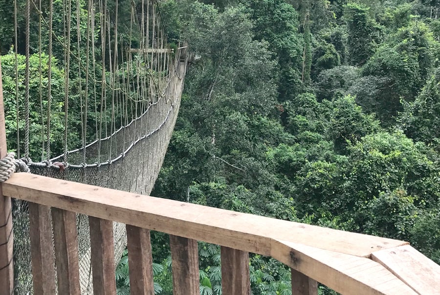 Jopas Travels & Car Rentals